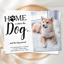 Nous avons déplacé mon chien et moi Photo personna