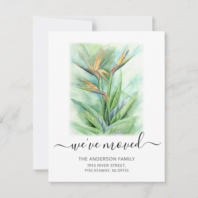 Faire-part Nous Avons Déplacé Oiseau Floral Du Paradis Nom Dé (Devant)