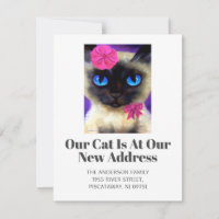 Nous avons déplacé Siamese Chat Pet Nouveau Home S