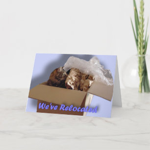 Faire-part Nous avons replacé. Nous nous sommes déplacés.