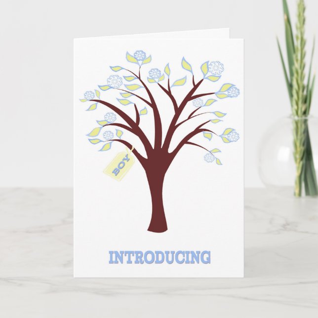 Faire-part Nouveau bébé garçon (Devant)