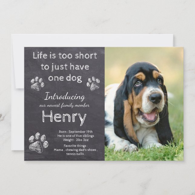 Faire-part Nouveau Chiot - Russe Chien de Animaux de Compagni (Devant)