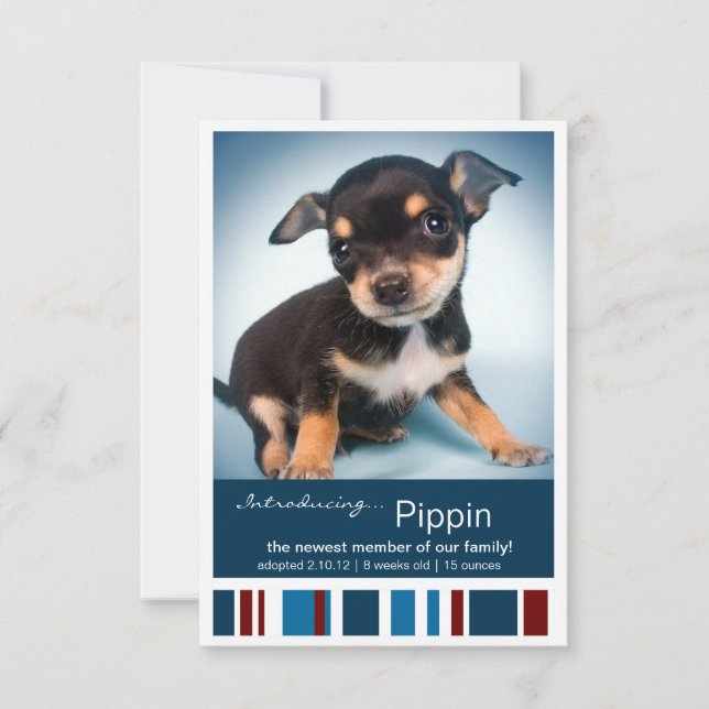 Faire-part Nouveau Pet Homme Bleu Stripes pour Garçon Faire-p (Devant)