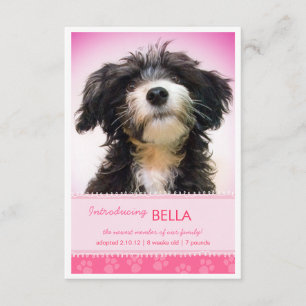 Faire-part Nouveau Pet Pink Empreintes de pattes pour fille F