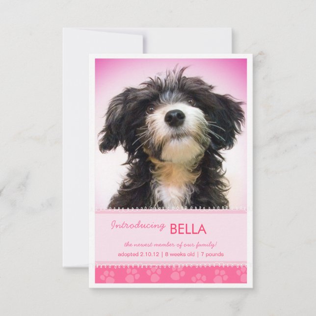 Faire-part Nouveau Pet Pink Empreintes de pattes pour fille F (Devant)