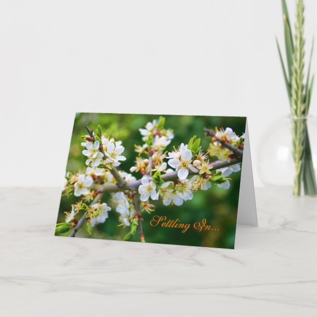 Faire-part Nouvelle maison - Baubépine de printemps dorée au  (Devant)