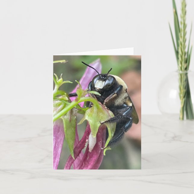 Faire-part Occupé comme une abeille (Devant)