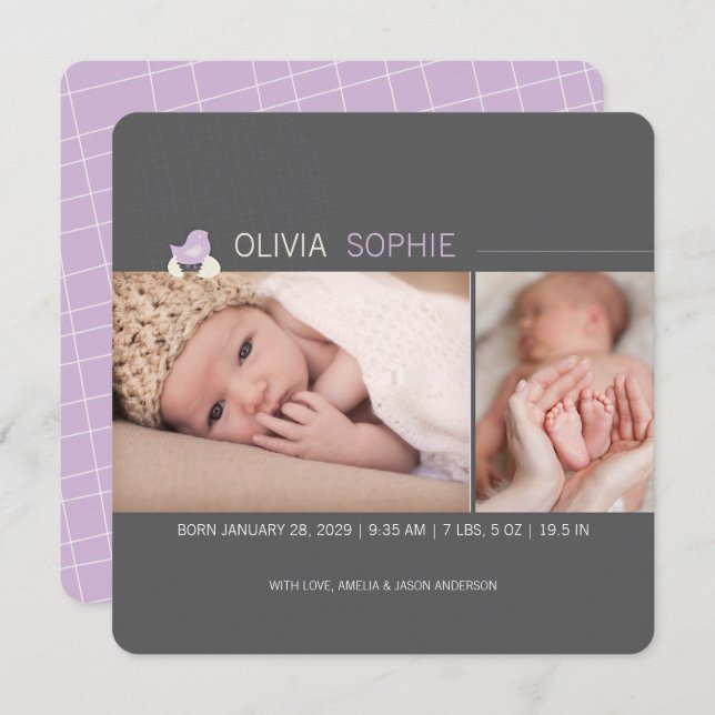 Faire-part Oeufs à l'éclosion Fille de poussins Photo Faire-p (Devant / Derrière)