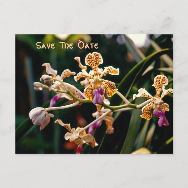 Faire-part Orchidée sauvage Enregistrer la carte postale Date (Devant)