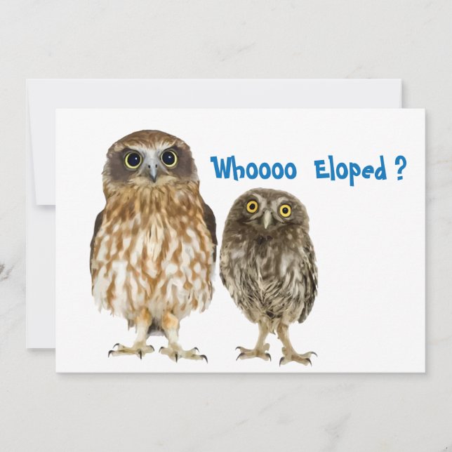 Faire-part Owl Duo Qui S'Est Éloigné (Devant)