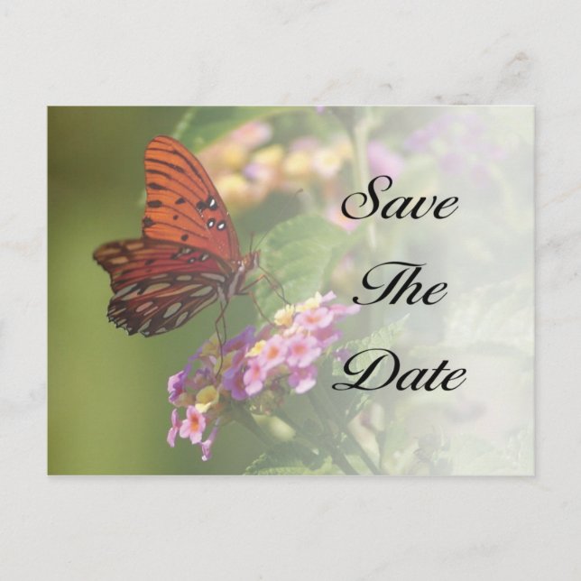 Faire-part Papillon Enregistrer la date carte postale (Devant)