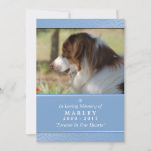 Faire-part Pet Memorial 5x7 Bleu clair Dieu vous a vu poème