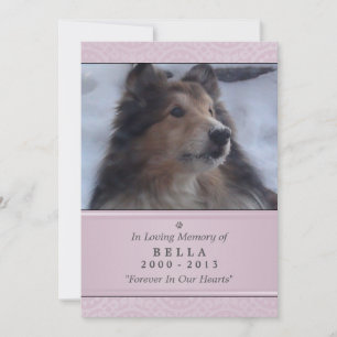 Faire-part Pet Memorial Card 5"x7" rose moderne - Femme Pet