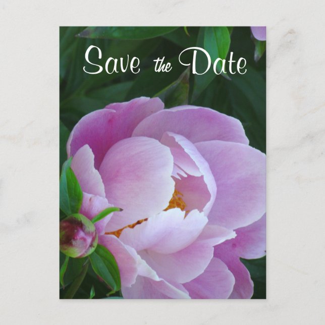Faire-part Pink Peony Enregistrer la carte postale Date (Devant)