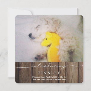 Faire-part Présentation d'un nouvel animal de compagnie   Fai