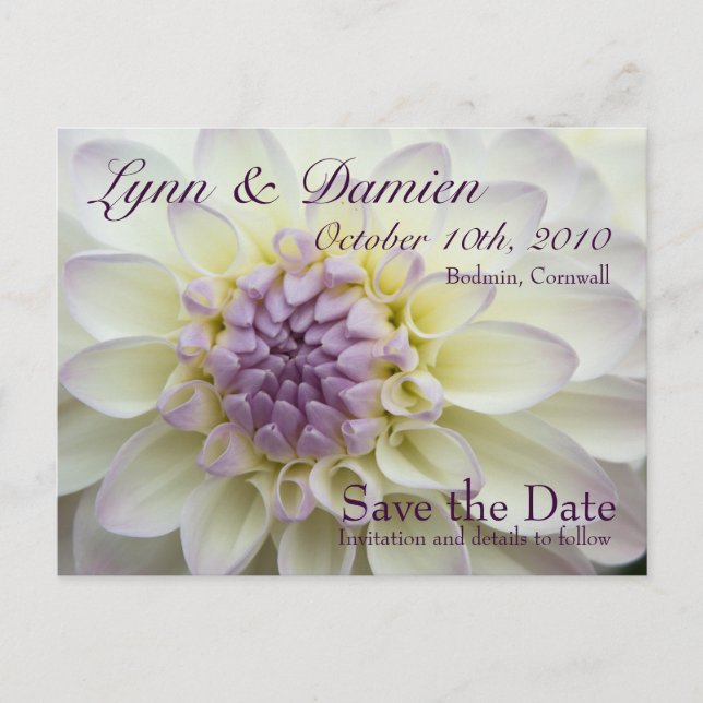 Faire-part Purple Dahlia ・ Enregistrer la carte postale Date (Devant)