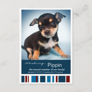 Faire-part Rayures bleues masculines de nouvel animal