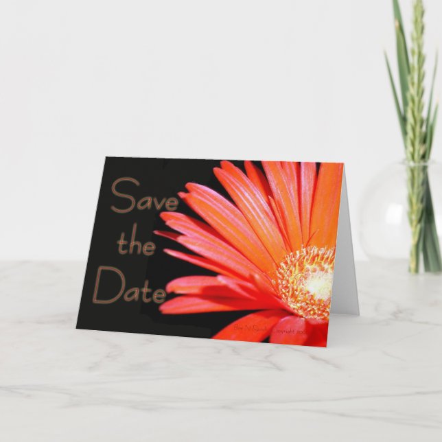 Faire-part Red Orange Gerbera Daisy Enregistrer la date (Devant)