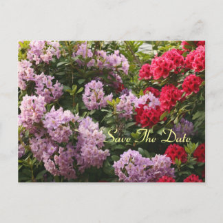 Faire-part Rhododendron Élégant Sauvez La Carte Postale Du Jo