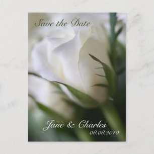 Faire-part Rose blanche ・ Enregistrer la carte postale Date