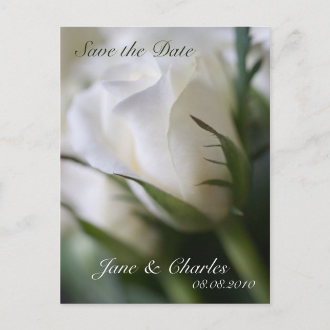 Faire-part Rose blanche ・ Enregistrer la carte postale Date (Devant)