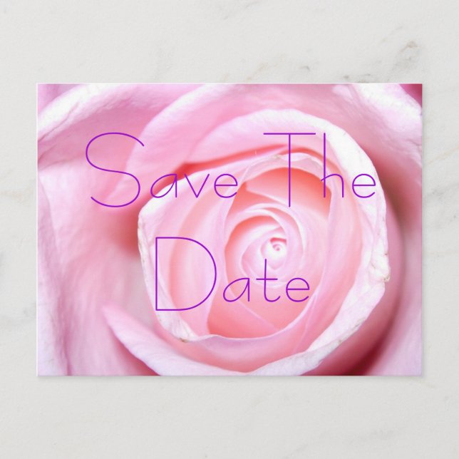 Faire-part Rose rose, Carte postale de sauvegarde de la date (Devant)
