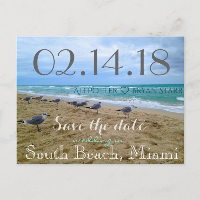 Faire-part Seagull Beach Enregistrer la date Carte postale (Devant)