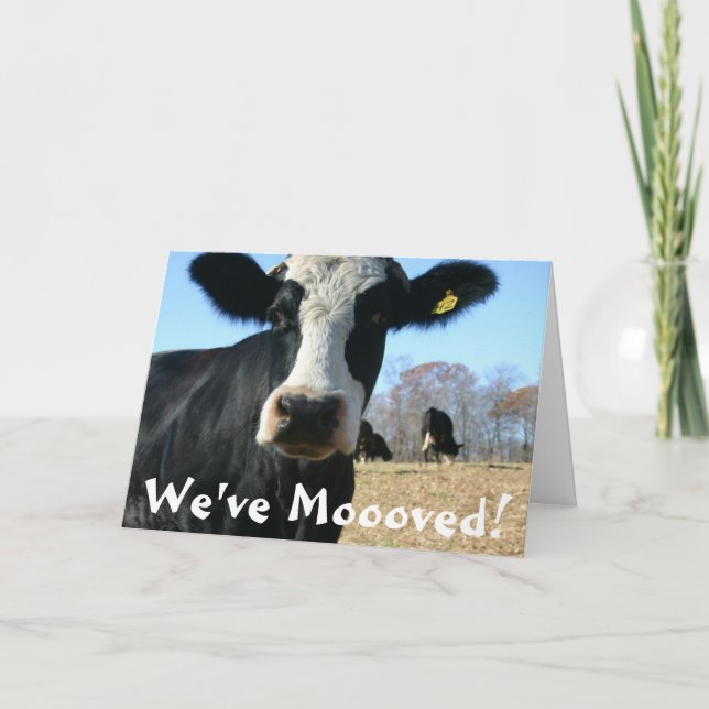 Faire-part Semaine de la vache sainte déplacée (Devant)