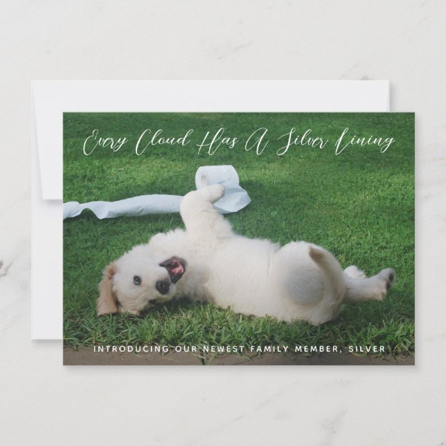 Faire-part Silver Lining Photo Pet Adoption (Devant)