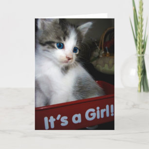 FAIRE-PART SON UN =^O^= DE FILLE