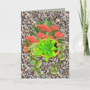 Faire-part Succulents sur galets de jardin