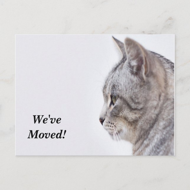 Faire-part Tiffany Nous avons déménagé Nouvelle carte postale (Devant)