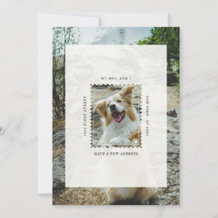 Faire-part Timbre Animal Drôle Nous Avons Une Nouvelle Adress