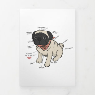 Faire-part Trois Volets Anatomie Du Chien Carlin Graphique
