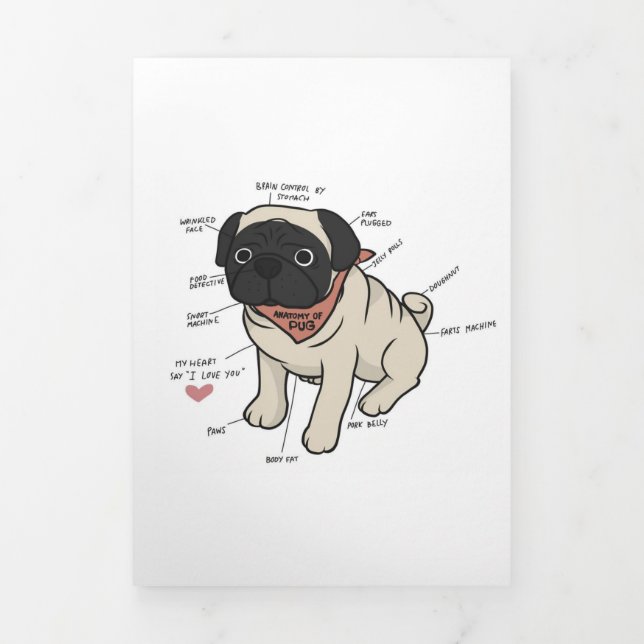 Faire-part Trois Volets Anatomie Du Chien Carlin Graphique (Page de couverture)