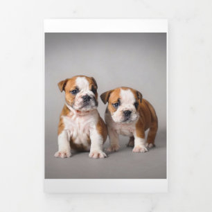 Faire-part Trois Volets Chiens de taupe anglais Couple mou Bulldog
