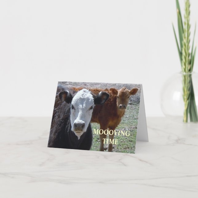 Faire-part Vaches mignonnes - Changement d'adresse de l'Ouest (Devant)