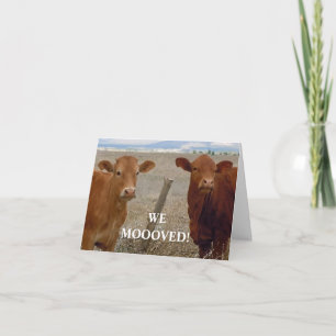 Faire-part Vaches rouges - Changement d'adresse de l'Ouest