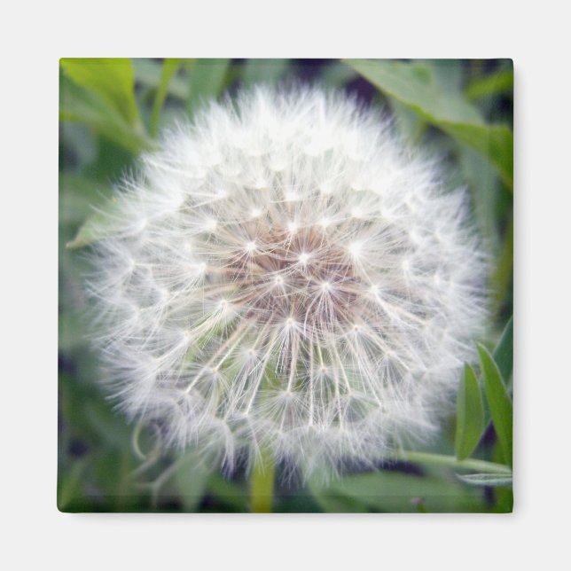 Faire un aimant de souhait (Devant)