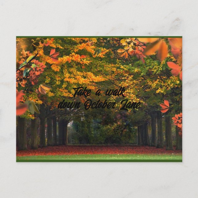 Faire une promenade dans October Lane carte postal (Devant)