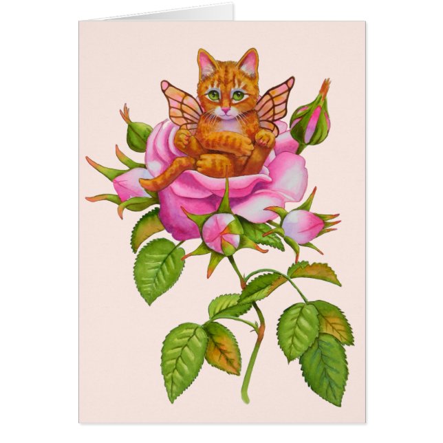 Fairy Kitten Repose en Rose (Devant)