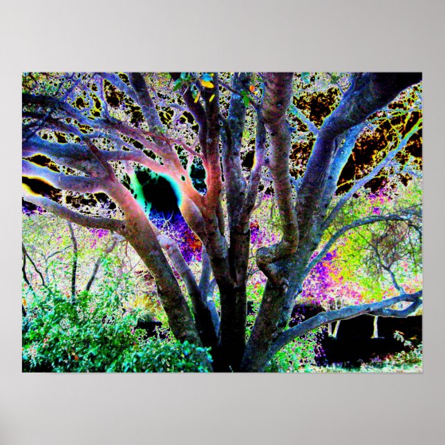 Fairy Tree Poster (Devant)