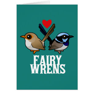 Fairywrens dans l'amour