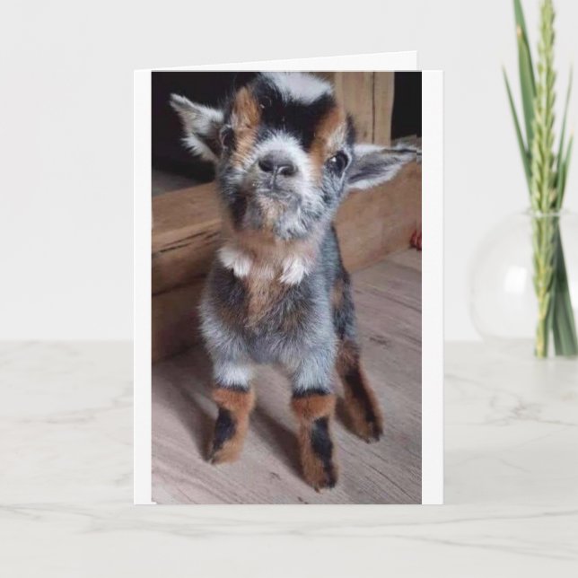 FAIS UNE FAVEUR À UN CHEVREAU CARTE "REMETS-TOI SO (Devant)