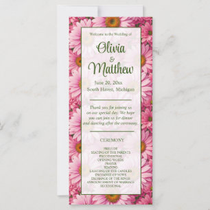 Faisceaux rose rose printanière rose pâle margueri