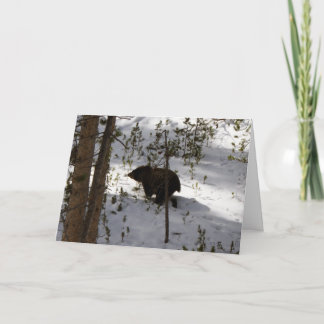 Fait une carte d'ours…