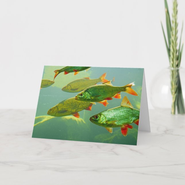 Faites votre propre Carte photo (Devant)