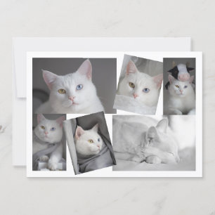 Faites votre propre collection de photos carte per