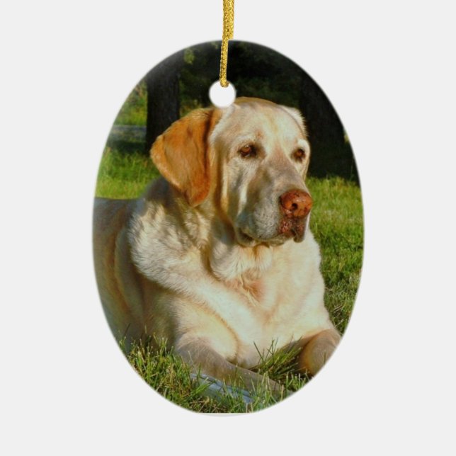 Faites votre propre ornement de Noël d'animal (Devant)