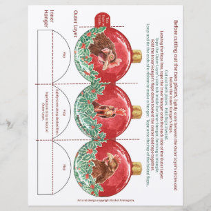 Faites votre propre ornement de Noël de poulet pli